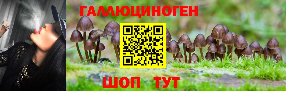 Галлюциногенные грибы Cubensis Сертолово